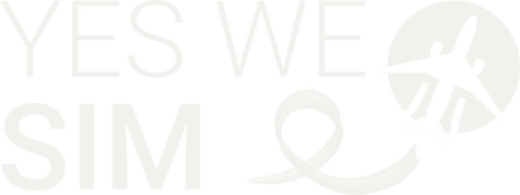 YesWeSim